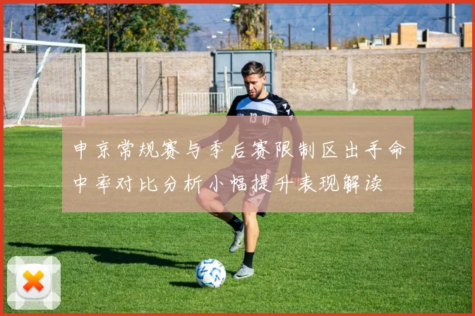 申京常规赛与季后赛限制区出手命中率对比分析小幅提升表现解读