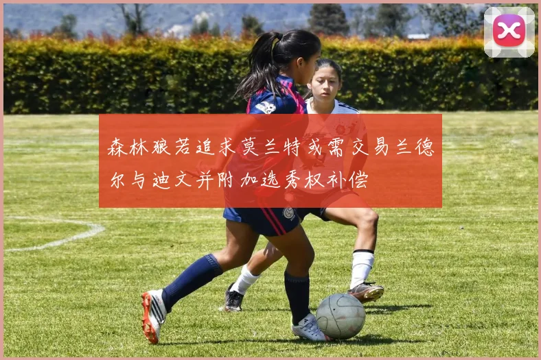 森林狼若追求莫兰特或需交易兰德尔与迪文并附加选秀权补偿